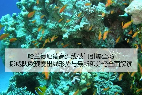 哈兰德厄德高连线破门引爆全场 挪威队欧预赛出线形势与最新积分榜全面解读