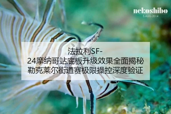 fa-la-li-mo-na-ge-zhan-di-ban-sheng-ji-xiao-guo-quan-mian-jie-mi-lei-ke-lai-er-jie-dao-sai-ji-xian-cao-kong-shen-du-yan-2-325.jpg
